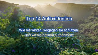 Top 14 Antioxidantien Wie sie wirken wogegen sie schützen und wir sie optimal aufnehmen [upl. by Tellford450]