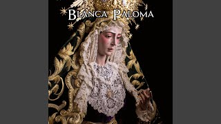 Blanca Paloma Directo [upl. by Stanfield]