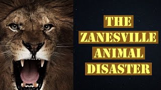 The Zanesville Ohio Animal Tragedy Explained [upl. by Naitsirk351]