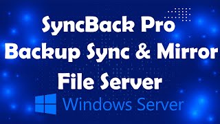 Configure SyncBack Pro to Backup Server Data Lesson21  Msolved Tech [upl. by Anilok]