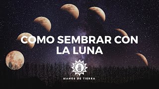 Como Sembrar Con LA LUNA 2024 cultivar con fases lunares calendario lunar [upl. by Adriane936]