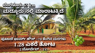 128 Acre Coconut Farmland with Farmhouse Sale in Maddur Near Channapatna Charan 7338474634 [upl. by Luehrmann]