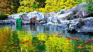 Making a Serene Waterfalls Mini Ecosystem Lake Feeder Goldfish Sanctuary [upl. by Siobhan81]