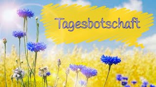 Tagesorakel 6524🔮Annahme abhaken und frei nach vorne gehen [upl. by Eidas]