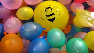 FUN BEE WATER BALLOON POPS [upl. by Katushka406]