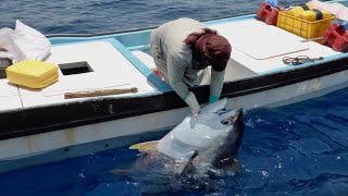 Amazing Fishing Skills Yellowfin Tuna Never Seen Before  Most Satisfying Sea Catching Tuna Videos [upl. by Ahsiled]