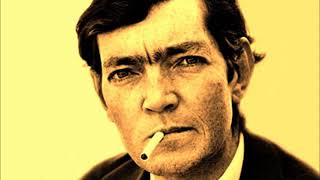 Julio Cortázar  La salud de los enfermos [upl. by Ellehcem]