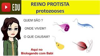 Reino Protista  protozoários protozooses [upl. by Lavena]