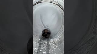 Sewer jetting nozzlesUsed for sewer cleaningplumbing sewercamerainspections [upl. by Acitel927]