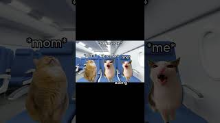 CAT MEMES 🐱 12 HOUR Flight To Korea catmemes relatable shorts [upl. by Samid]