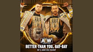 Better Than You BayBay MJF amp Adam Cole Mashup [upl. by Tav]