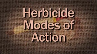 Herbicide Modes Of Action  Family Plot [upl. by Karim]