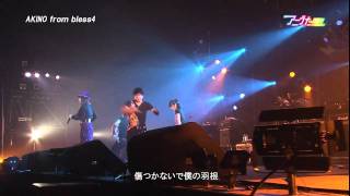 LIVE アニうた KITAKYUSHU 2011 AKINO from bless4 [upl. by Renell]