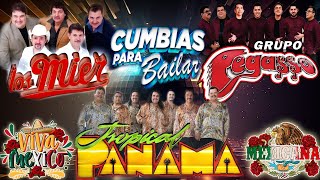 Cumbia Mexicanas Mix 🔥 Cumbia Para Bailar 🔥 Los Mier Grupo Pegasso Tropical Panama [upl. by Kameko818]