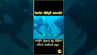 ජීවිත අවදානම නොතකා බුදු පිළිමය නිසි ලෙස සකස් කළ කිමිදුම්කරුවෝ [upl. by Nievelt]