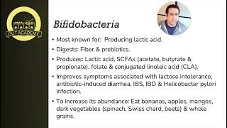 Focus on Bifidobacterium [upl. by Eelsnia410]