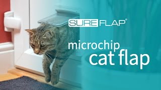 SureFlap Microchip Cat Flap amp DualScan  Door Installation [upl. by Elcarim]