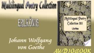 Erlkönig Johann Wolfgang von Goethe Audiobook Poetry [upl. by Adnical]