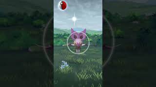 Catching Noibat pokemongo [upl. by Gratt]