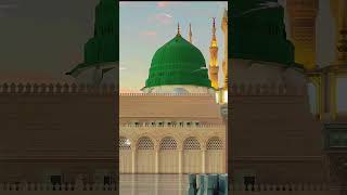 Tasweer Muhammad arbi di video qawali muhammad ytshort [upl. by Adnocahs]