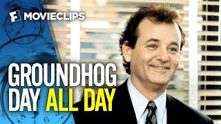 Groundhog Day ALL Day [upl. by Kittie]