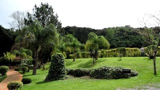 Brazilian Wine in Serra Gaúcha [upl. by Pulchia]