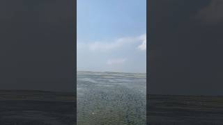 Pulicat lake best places in Chennai pulicat pulicatlake Chennai pulicat lake in Andhra Pradesh [upl. by Eesdnyl]