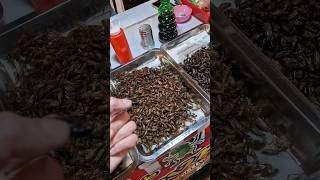 Tasting Insects in Thailand [upl. by Gwynne567]