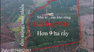 Diện tích lớn đường thuận tiện giá rẻ [upl. by Newg]