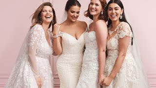 More Styles amp Sizes for You  Davids Bridal [upl. by Helfant624]