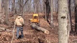 Logging and Sawing in Berea College Forest 2014 [upl. by Zealand430]