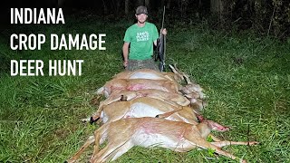 6 deer in 2 hours 2023 Depredation Hunt [upl. by Harleigh222]