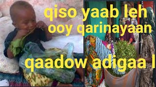 Gabay Qaadka Abshir nuur Faarax Bacadle  qaadow adigaa leh [upl. by Goat]