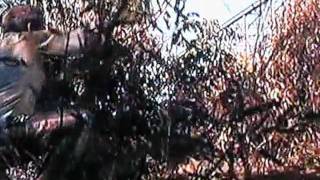 Cool Hand Luke  Shaking The Bush Boss  The Best Movie Scene Ever [upl. by Abla79]