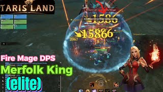 Tarisland Merfolk King Elite  Fire Mage DPS [upl. by Atterbury]