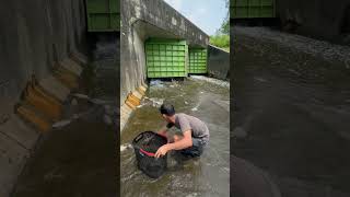 🐟 Many fish fall down from the dam [upl. by Iasi]