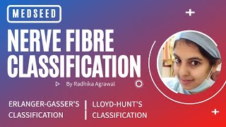 Classification of nerve fibres Erlanger Gassers and Lloyd Hunts classification Medseed MBBS [upl. by Khorma]