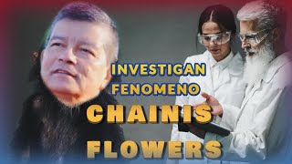 CHINO FLOWERS INVESTIGACION CIENTIFICA SOBRE EFECTO POLITICO [upl. by Moses]