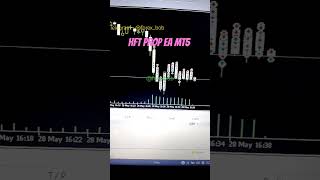 HFT PROP EA MT5  High Frequency Trading  US30 forex fx hft hftpropea ytshorts besthftea [upl. by Attenaj]