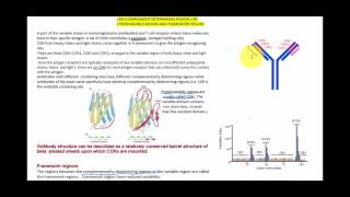 CDR OR HV REGION AND FRAMEWORK REGION [upl. by Elbas822]