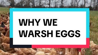 Why We Wash Eggs [upl. by Asoral]