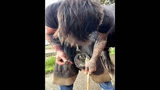 How Horses Foot Triming and cleaninghooftrimming hoofcleaning horses [upl. by Garth]