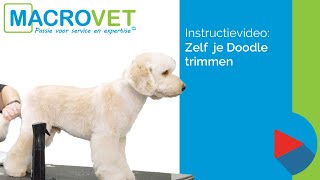 Instructie video Zelf gemakkelijk je Doodle trimmen [upl. by Willow]