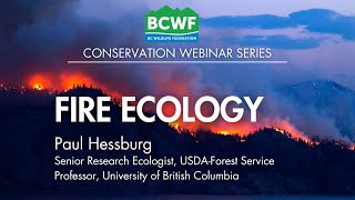 Fire Ecology with Paul Hessburg [upl. by Maryjo]