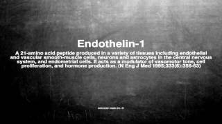 Medical vocabulary What does Endothelin1 mean [upl. by Bang546]