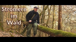 Stromern im Wald 01  2019 [upl. by Ecirtnahc356]