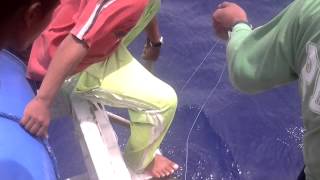 tuna fishing in gensan Actual video [upl. by Ilime]