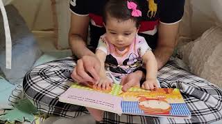 Reading Daddy and Me  A Lift the Flap Book with 5 month old Virti Read Aloud [upl. by Assetniuq]