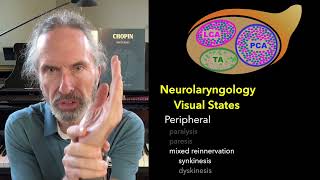 Visual Neurolaryngology  Part IV lateral cricoarytenoid muscle [upl. by Lekar]