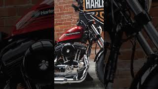 2019 HarleyDavidson FortyEight Special [upl. by Nahgeam]